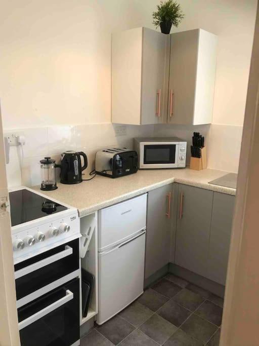 3 Studio Avenue House Scarborough Zewnętrze zdjęcie