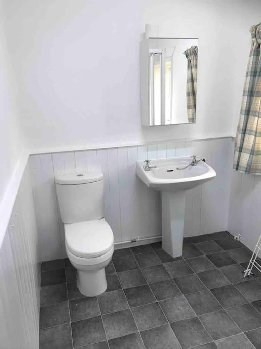 3 Studio Avenue House Scarborough Zewnętrze zdjęcie